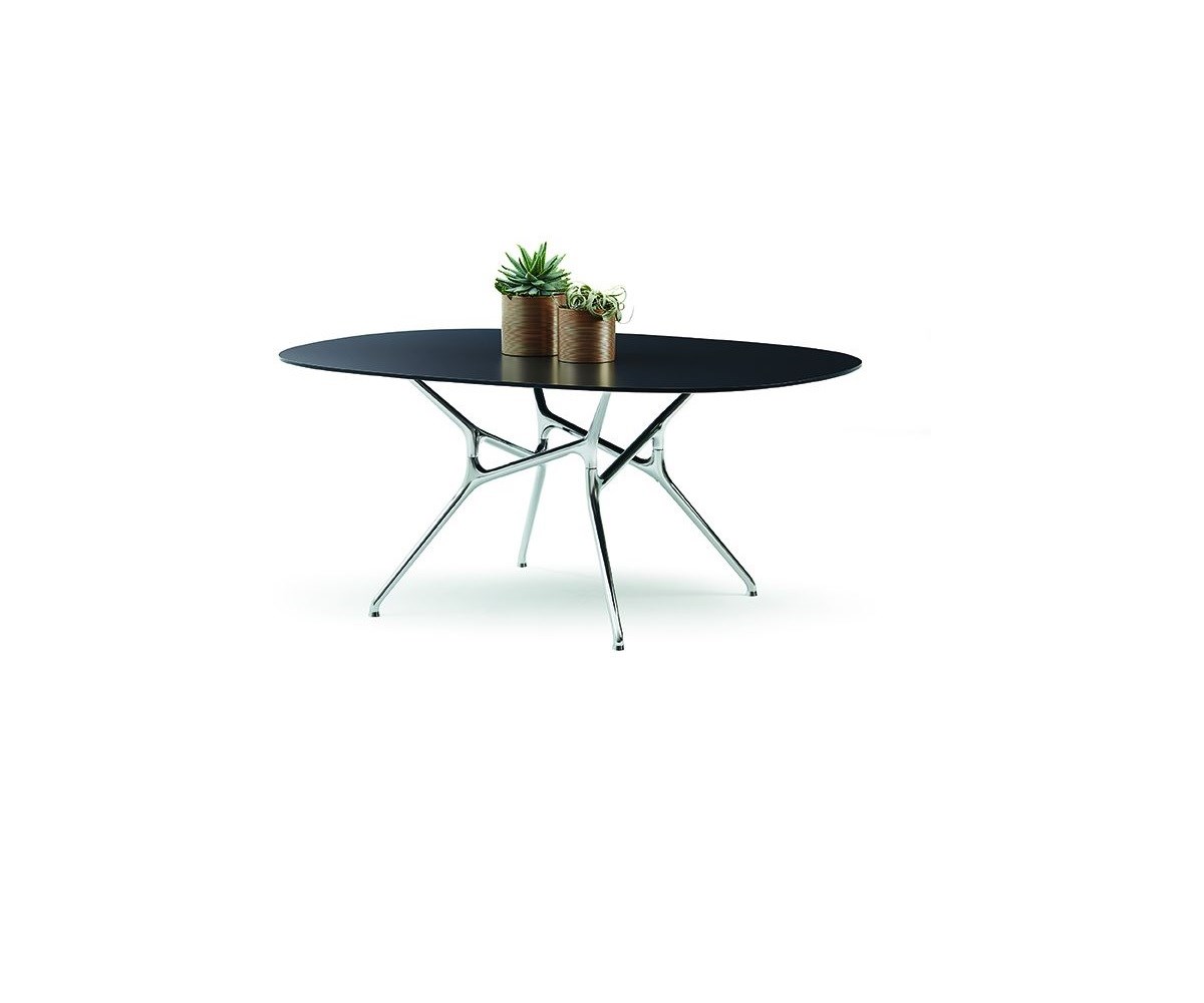 Cappellini Wagner Branch Table Clear