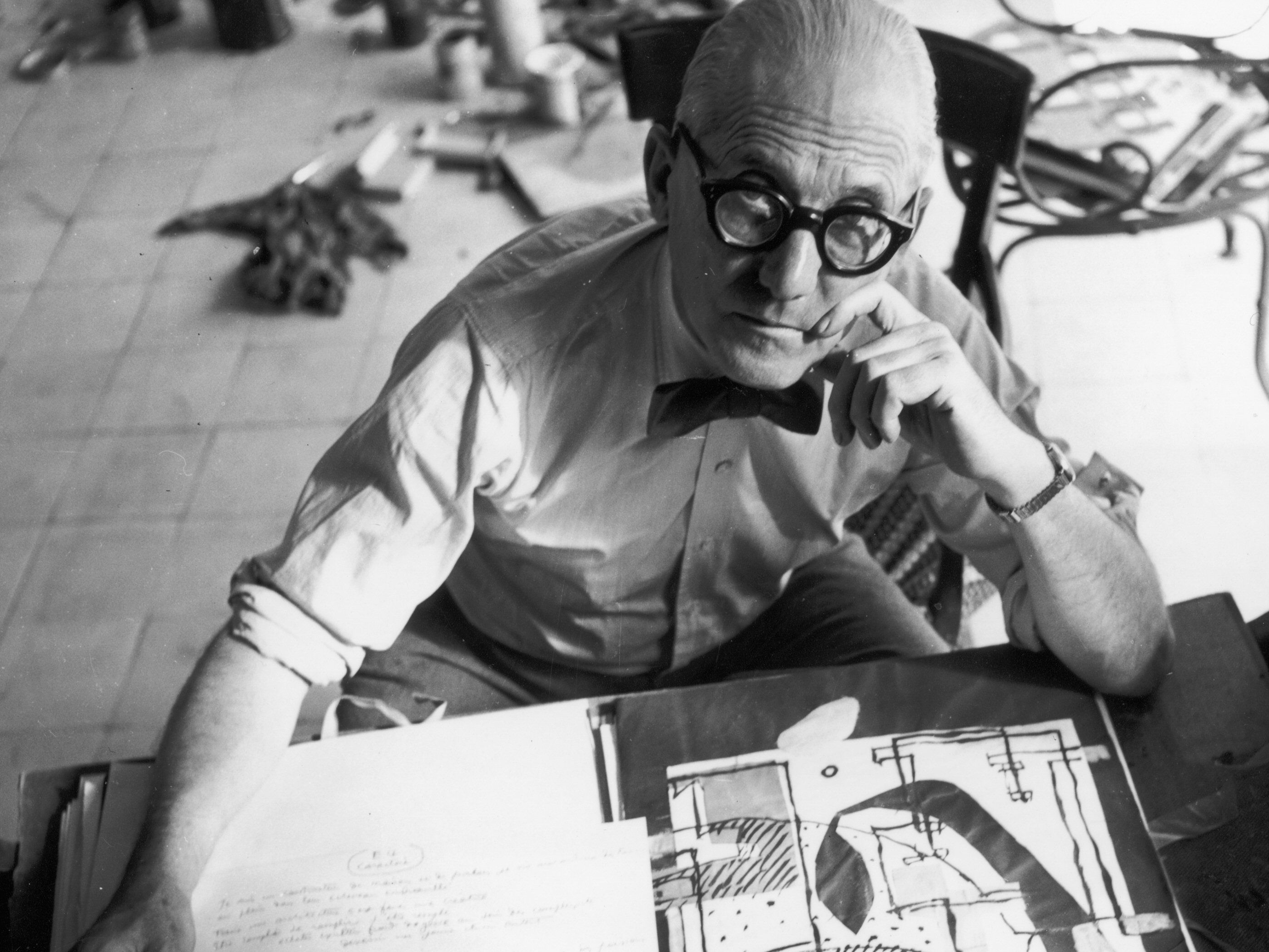 Le Corbusier | Matisse - Interior Showroom, New Zealand